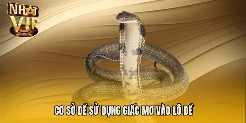 Cơ sở đề sử dụng giấc mơ vào lô đề