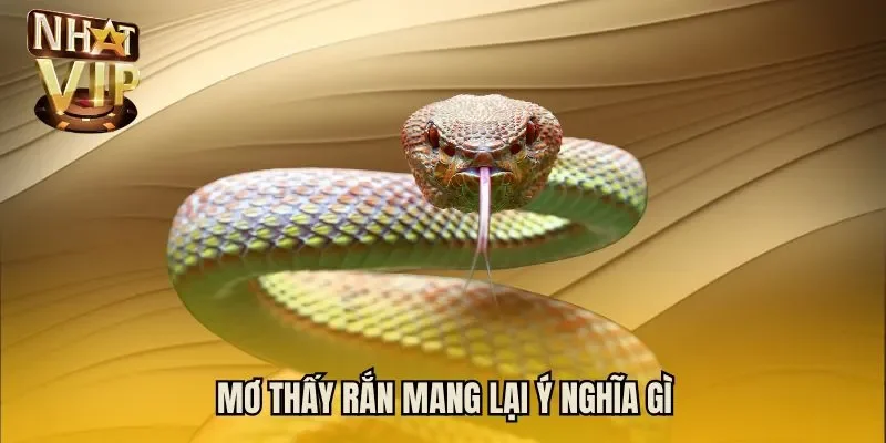 Mơ thấy rắn mang lại ý nghĩa gì