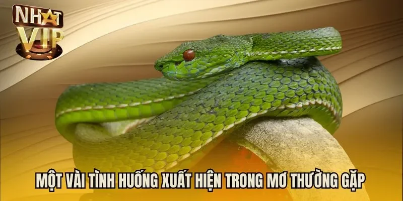 Một vài tình huống xuất hiện trong mơ thường gặp 