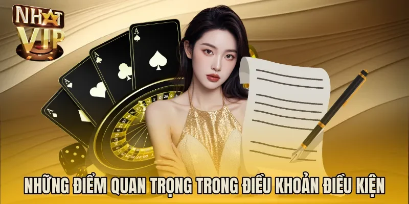 Những điểm quan trọng trong điều khoản điều kiện